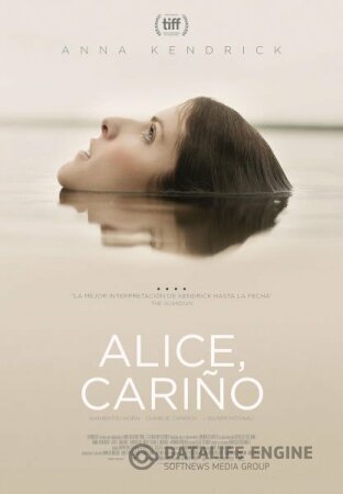 Alice, cariño BDrip XviD Castellano