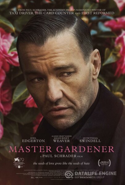 El maestro jardinero BDrip XviD Castellano