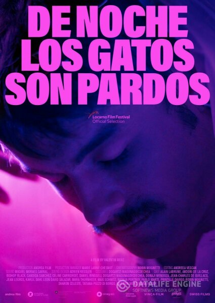 De noche los gatos son pardos BDrip XviD Castellano