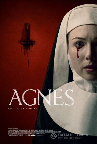 La posesión de Agnes BDrip XviD Castellano