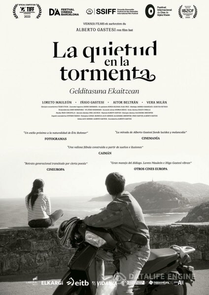 La quietud en la tormenta BDrip XviD Castellano