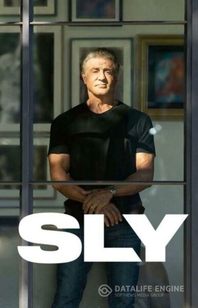 Sly BDrip XviD Castellano