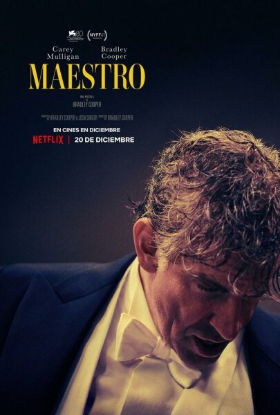 Maestro BDrip XviD Castellano