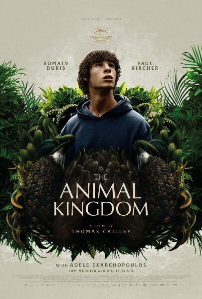 El reino animal BDrip XviD Castellano