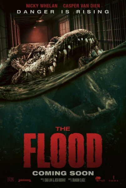 The Flood BDrip XviD Castellano