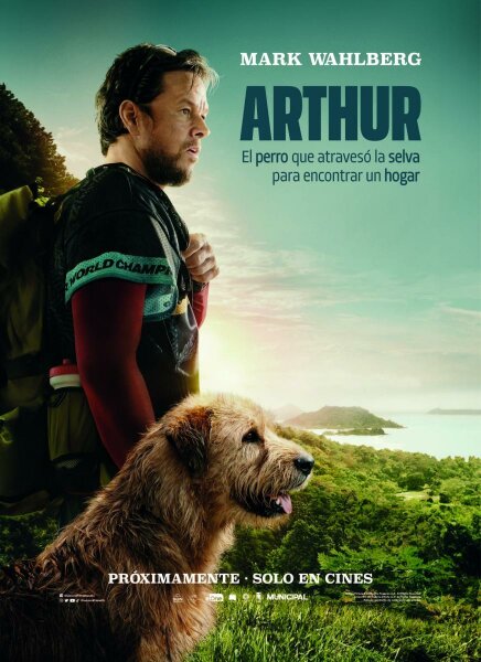 Arthur BDrip XviD Castellano