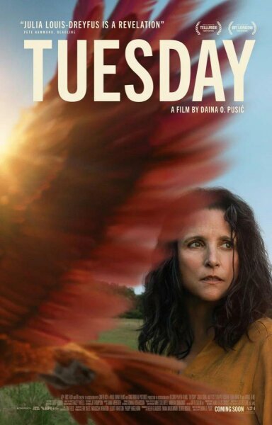 Tuesday BDrip XviD Castellano