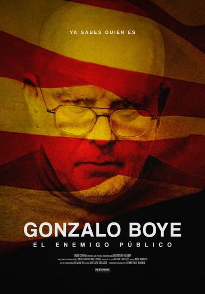 Boye, el enemigo público BDrip XviD Castellano